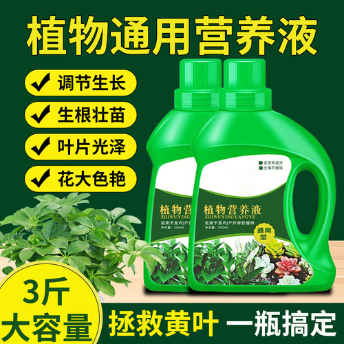 营养液植物通用型化肥料家用绿植盆栽发财树绿萝富贵竹水培专用料