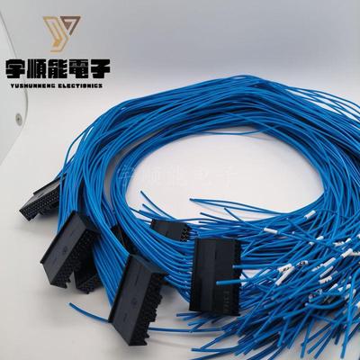 LOTES得意/嘉泽新能源汽车线BMS插头线束 AAUS01AS0-012K01 12PIN