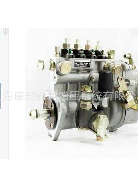 喷油泵4A530和BHF4PL 1001223985A和1001534316A和1001223545B