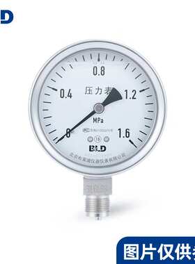 全不锈钢耐震压力表YTHN-100 0～40Bar 1.6级 3/8BSP 表头充硅油