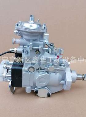 专业供应各类型号VE泵总成22100-1C201 221001C201