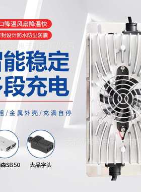 电动叉车洗地车车载充电器24V36V15A20A锂离子电池充电机大功率