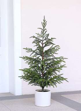 36“人造诺福克松树盆景绿色人造圣诞树前廊室内外圣诞装饰松柏树