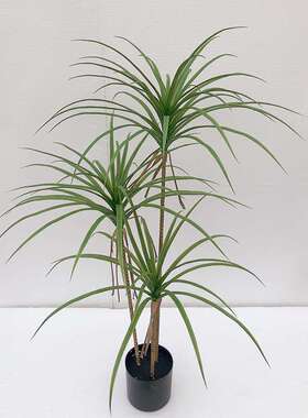 仿真绿植假植物龙血树高仿绿植盆栽客厅绿植假树大型摆件绿植带盆