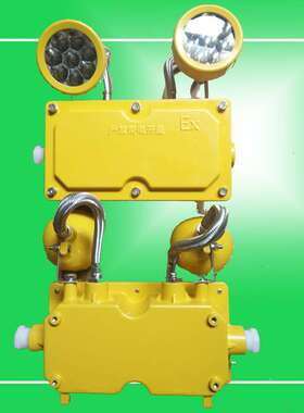 BXW6229防爆应急灯 2*10WLED双头应急灯壁挂灯2*20W防爆灯