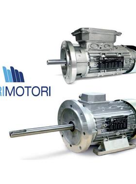 供应意大利NERI电机T80B4