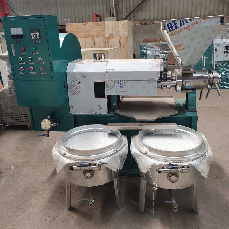 商用中型花生菜籽榨油机油坊茶籽压榨机带滤油机凯创粮油设备厂家