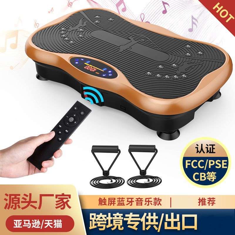 懒人家用甩脂机站立式震动甩肉运动健身器材抖抖机塑形美体燃脂