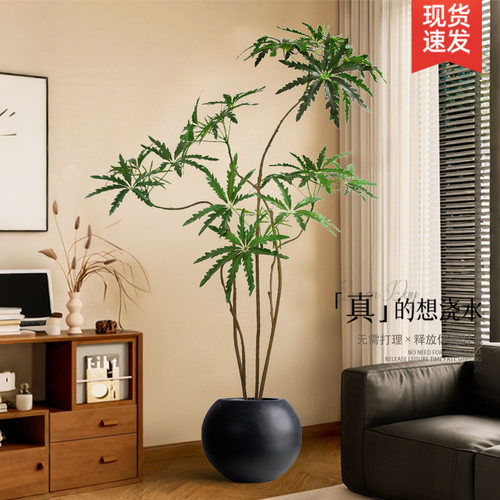 中古风仿真绿植孔雀木高端轻奢仿生植物室内大型落地盆栽装饰摆件