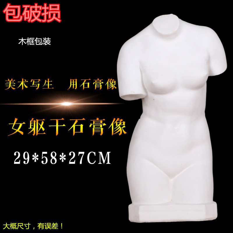 勃兰特少女躯干石膏像人物石膏头像美术教具素描静物写生人像雕塑