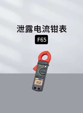 法国CA 泄露电流钳表F65 万用钳表AEMC503 高精度电流钩表CM605