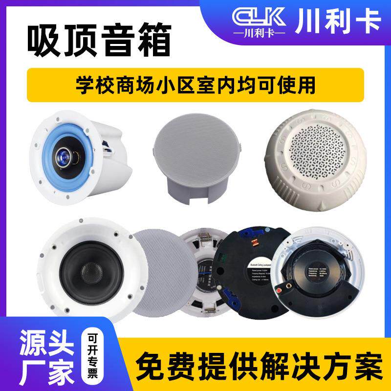 3w6w10w15w2w吸顶音箱专业音响学校操场多功能厅车站吸顶音箱