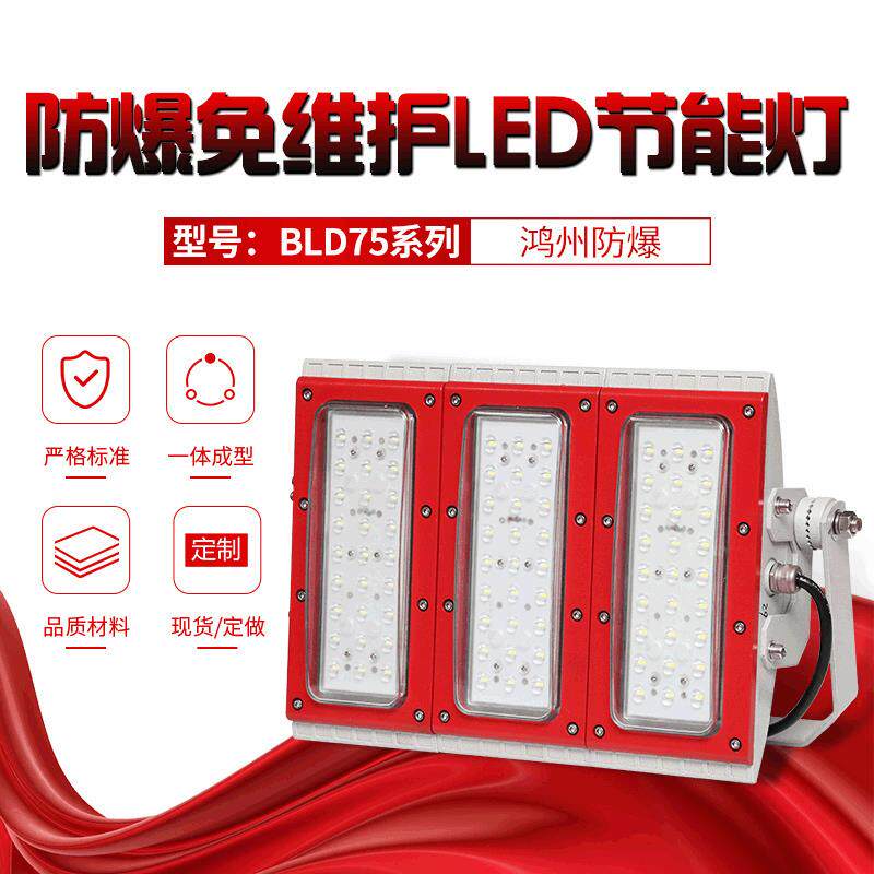 BLD75系列防爆免维护LED灯泡节能灯带路灯式支架式220V防爆照明灯