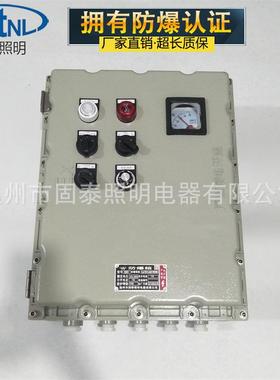 防爆电位器控制箱BXK-A2D2B1K3防爆仪表控制箱可带防雨罩