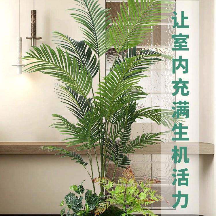 摆件假植物仿真绿植散尾葵造景装饰客厅落地假花盆栽室内盆景