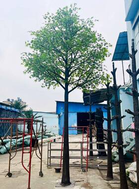 仿真青枫树枫叶树大型绿植室内设计装饰假树橱窗造景红枫树鸡爪槭