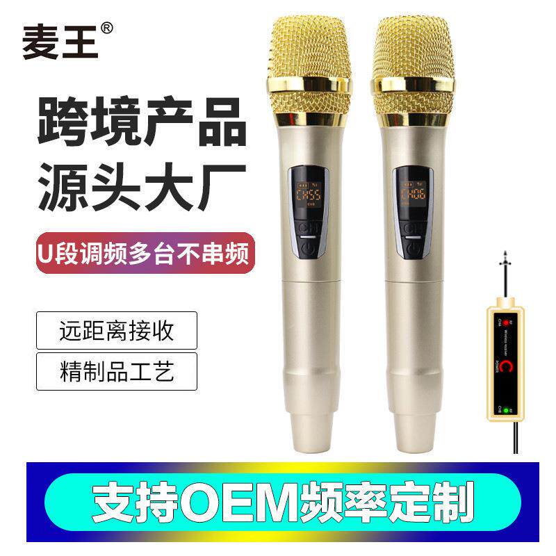 手持无线多用麦克风家庭户外演出话筒一拖二U段拉杆音箱无线演出