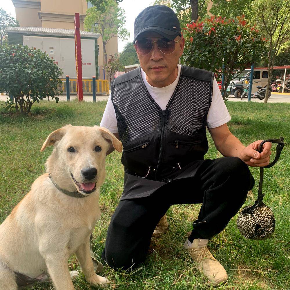 透气训犬师马甲背心防抓网纱多功能训犬服德牧马犬K9犬训练用品
