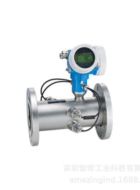 德国E+H音叉液位开关FTL31-7HU0/0FTL31-AA7M2AAWBJ