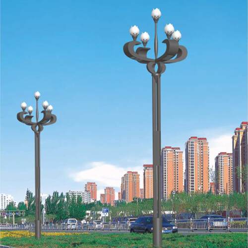 LED景观灯市电工程户外防水照明灯城市道路亮化灯大型高杆路灯