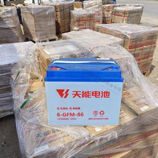 力达电动托盘搬运车蓄电池6GFM86地牛叉车免维护电瓶