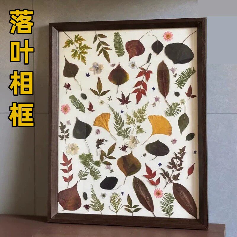 落叶相框DIY植物标本装裱大号