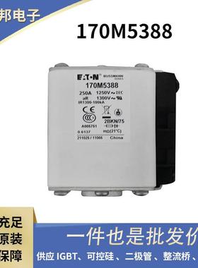 BUSSAMNN巴斯曼保险丝快速熔断器170M5388170M5410170M5447