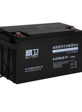 KELONG科华精卫蓄电池6-GFM-65-YT12V65AH100AH24AH38AH150A120A