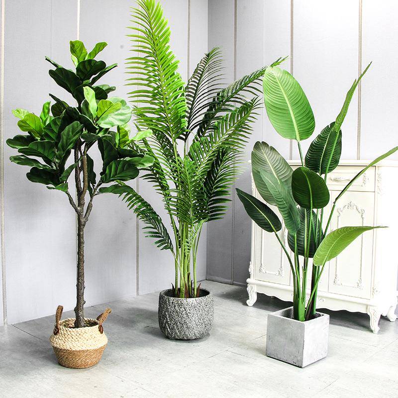 仿真植物绿植盆栽室内大型景客厅琴叶榕树树人造盆葵树-假芭蕉树
