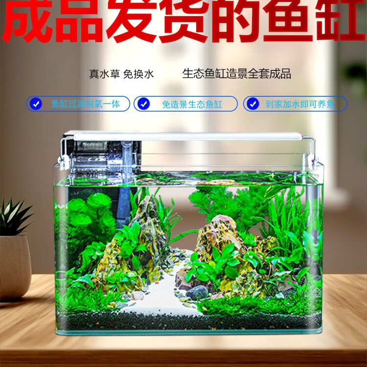 桌面小型鱼缸造景免换水