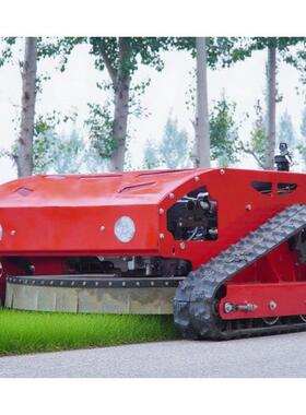 工厂现货园林绿农田果能园化除草碎草机机草坪修剪RBY智遥控割草