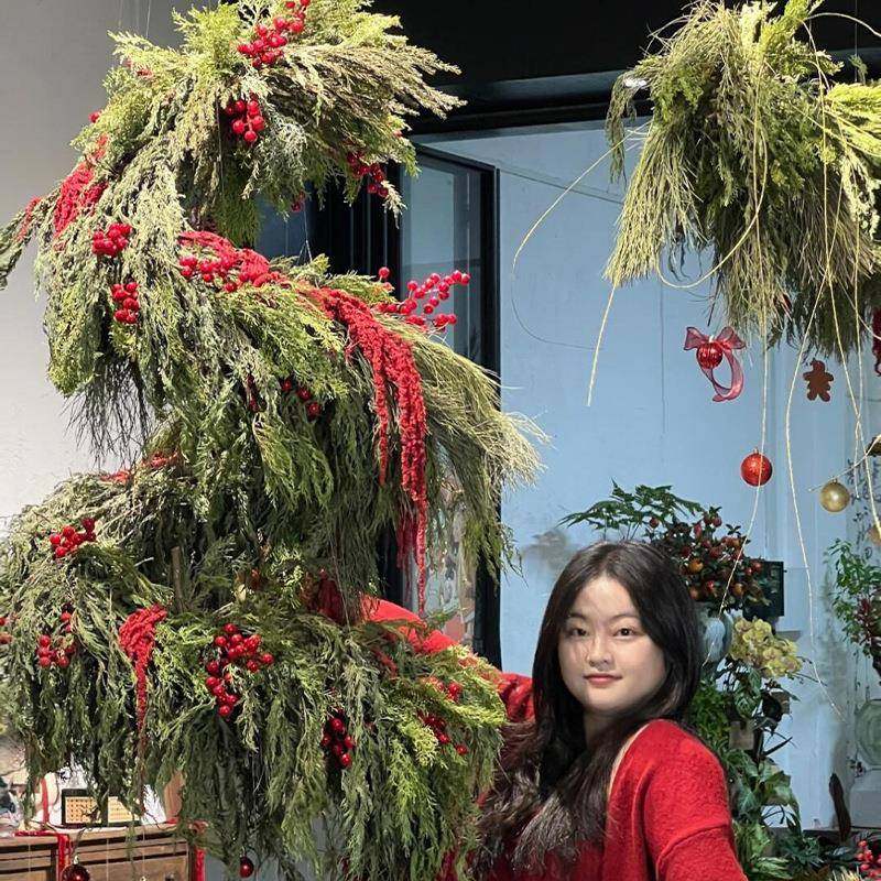 圣725诞装饰布置网餐厅打红拍照氛围装饰悬挂圣诞花环卡真仿藤条,节庆用品/礼品,圣诞装饰品,淘宝优惠券,粉丝福利购,淘宝优惠卷