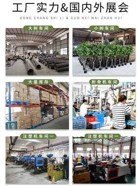 跨真境HL0009大型仿旅人蕉室内家居装饰酒橱窗盆景摆件拆装仿真店