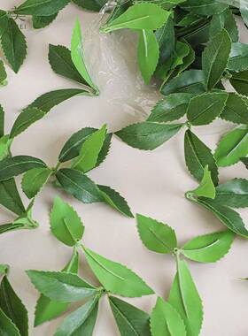 真物马仿醉木绿吊钟树叶工程园ENU林造植景家居装饰厂家马植醉木