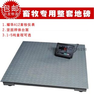 耀华A12电子地磅称广测传感器平台秤小地磅秤1-3吨5T畜牧秤地磅