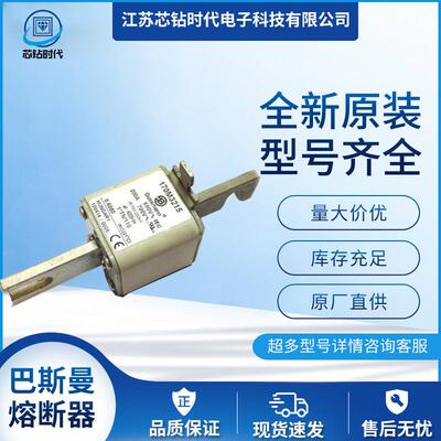 170M3217 170M3218 170M3219 巴斯曼BUSSMANN熔断器保险丝