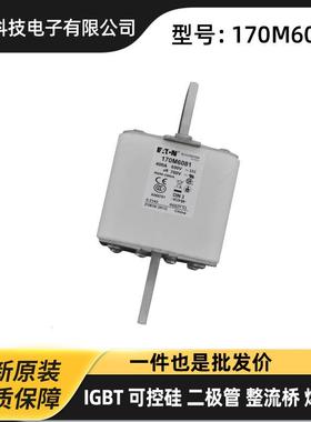 170M6081170M6148170M6170快速熔断器保险丝原厂现货插片式