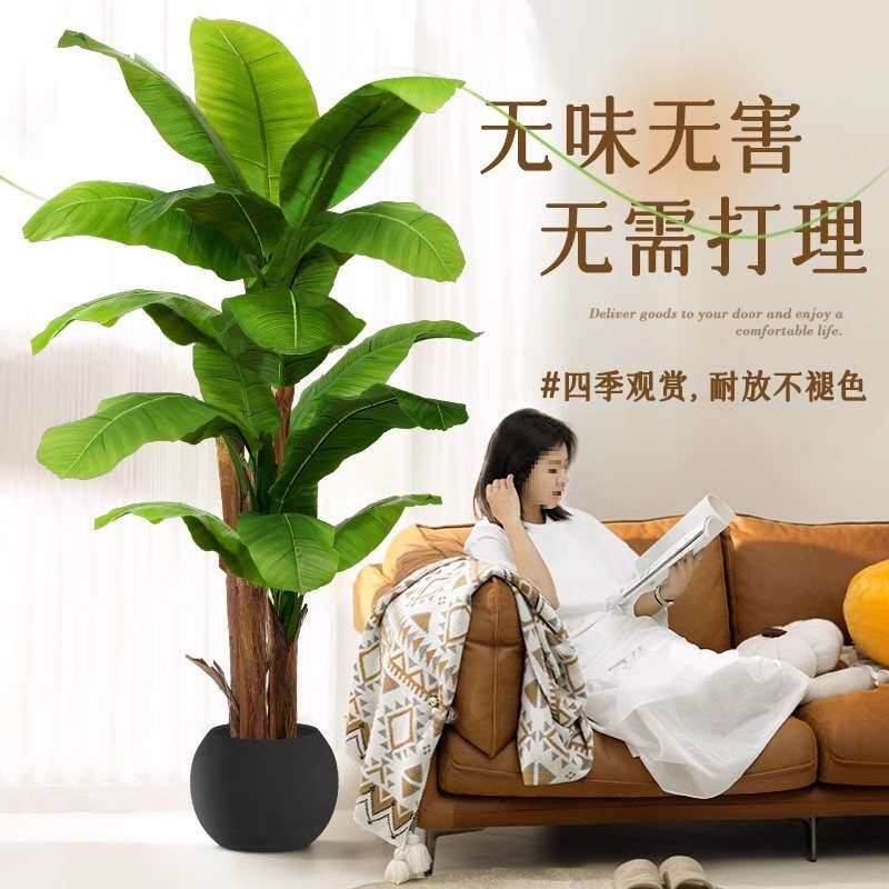 大叶芭蕉树2025新大型仿生绿植装饰室内造景植物假树摆件