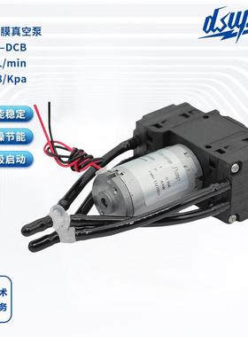 DISEN双头真空泵小型小型负压泵隔膜泵气体采集脱气泵超静音