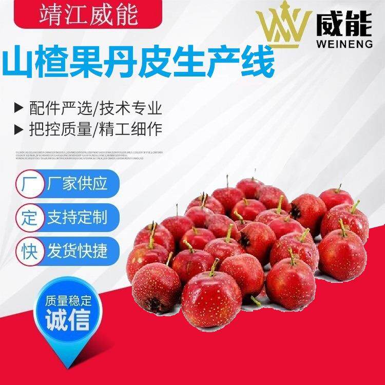 直销大型工业商用不锈钢优质的山楂果丹皮生产线