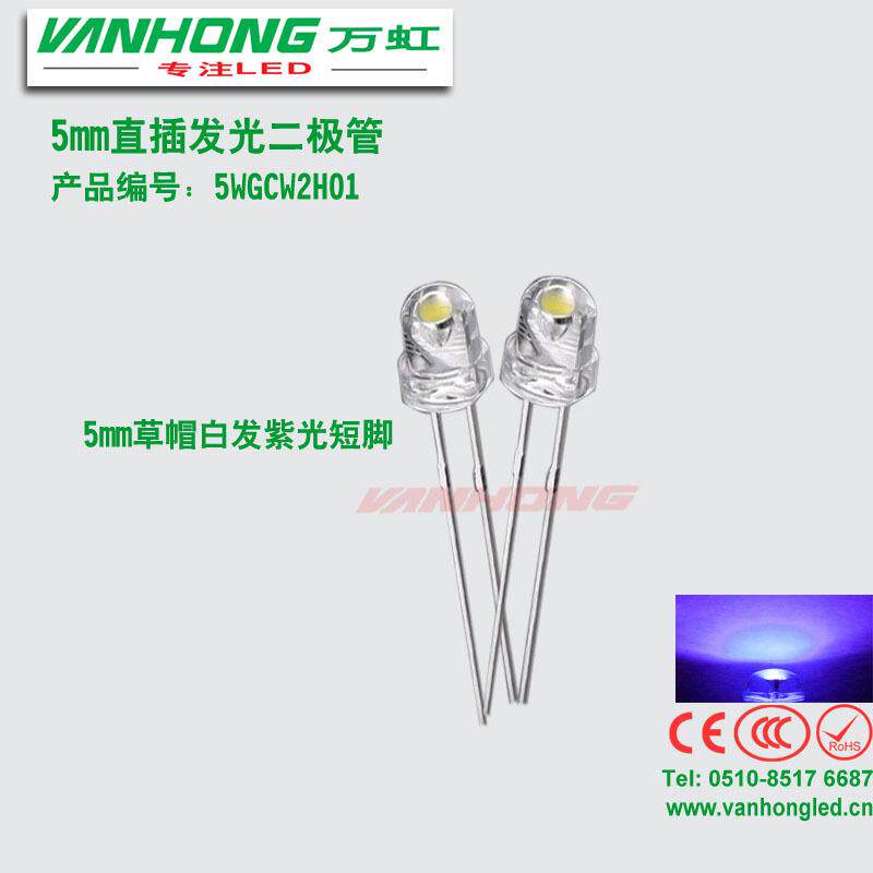 led灯F5草帽白发紫5mm草帽紫光紫灯LED灯珠led灭蚊F5紫色灯