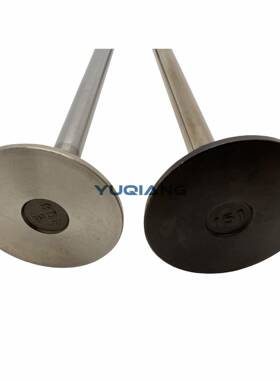 -12551162-0气SLL1门，1-12552100-0排门用五十铃进6W气G1电喷发