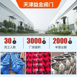 Y型过滤器G41 16EDYQ铸钢不锈钢法兰全通径管L道除H污球铸铁软墨