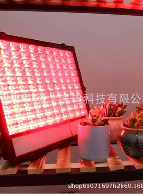 L0E光D投光灯植物灯6nVXH60m点粉红10W150W防水大棚蔬菜大麦种植