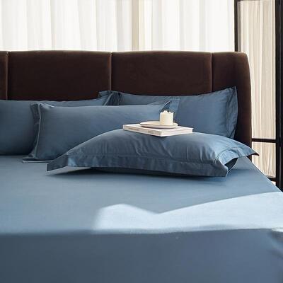高档奢华10MXO0支绒一棉单品枕舒套纯棉简约长单人枕芯套适纯色对