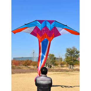 风筝滑翔机绚丽手持风筝伞布大型户外微风易飞2024新款专业