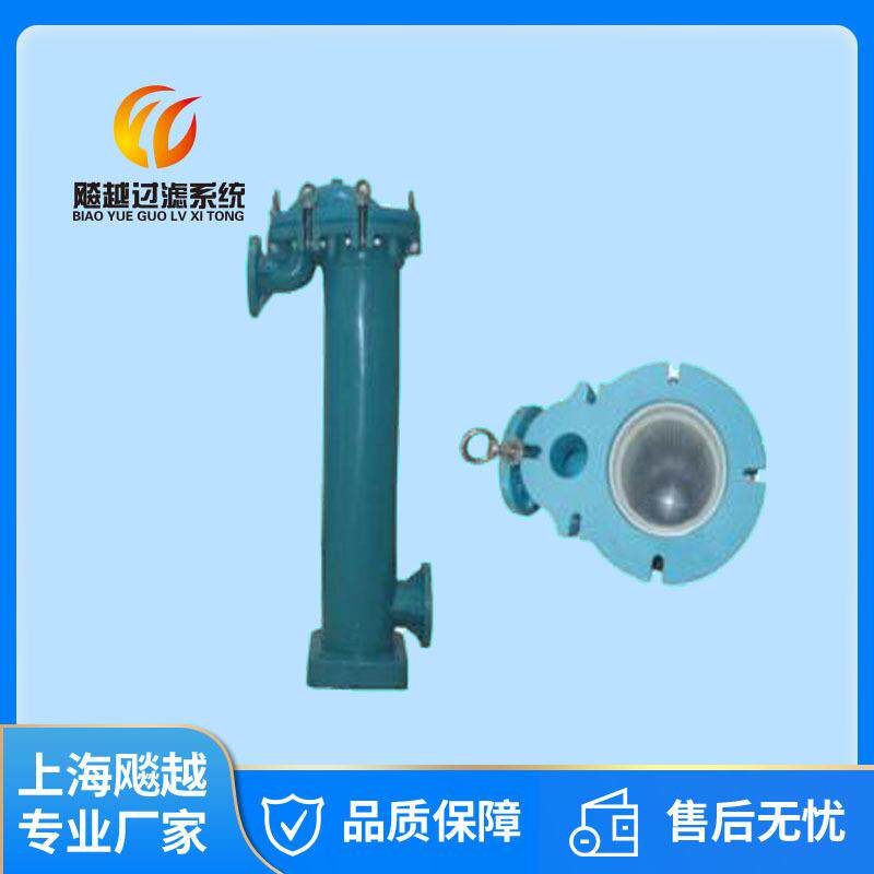 上海飚越塑胶PP袋式过滤器一体成型耐腐蚀耐酸碱液体过滤器