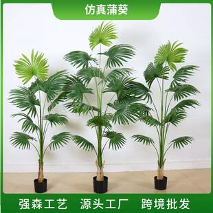 仿真蒲葵盆栽大型植物落地盆景室内装饰扇葵仿真加州蒲葵摆件