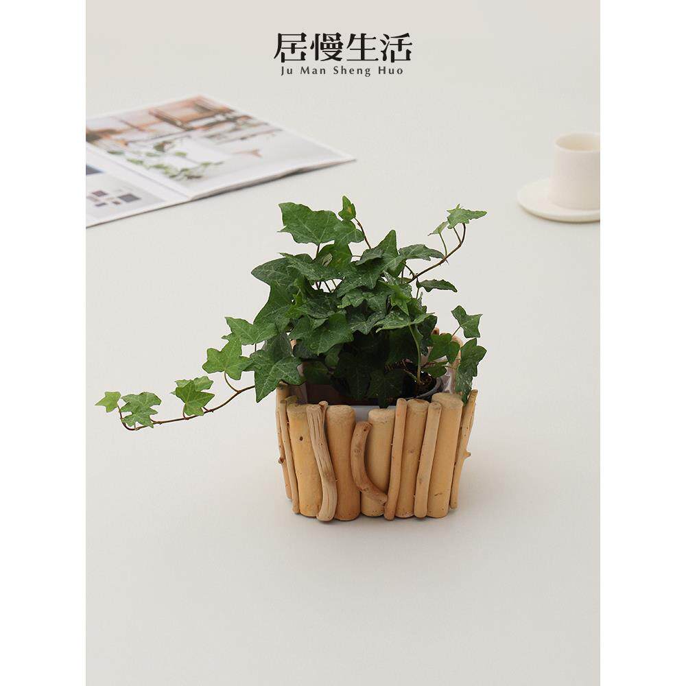 原木花盆多肉日式简约大号创意个性兰花绿萝蝴蝶兰家用室内带内衬