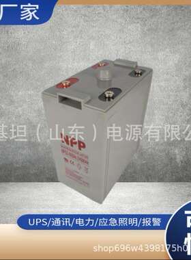 NPP耐普胶体密封式储能蓄电池NPG2V-50Ah100A150A200A深循环电池